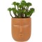 Northlight Mini Artificial Succulent in Face Planter Pot - 5.5"